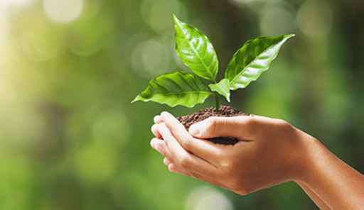 Energy and environmental management at Sonplas